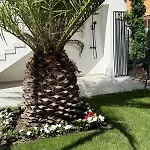 Apartment Sea 9 *
